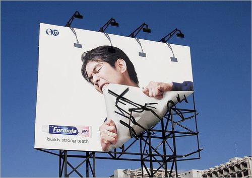 incroyable insolite drole photo image 2011