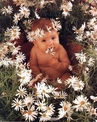 Photo de Anne Geddes