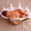 Photo de Anne Geddes