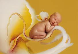 Photo de Anne Geddes