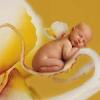 Photo de Anne Geddes