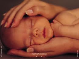 Photo de Anne Geddes