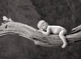 Photo de Anne Geddes