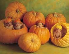 Photo Anne Geddes