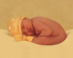 Photo de Anne Geddes