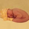 Photo de Anne Geddes