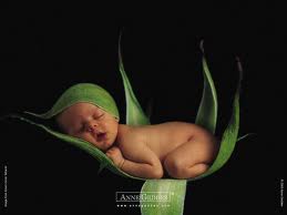 Photo de Anne Geddes