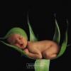 Photo de Anne Geddes