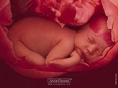 Photo de Anne Geddes