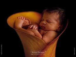 Photo de Anne Geddes