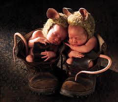 Photo de Anne Geddes