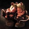 Photo de Anne Geddes