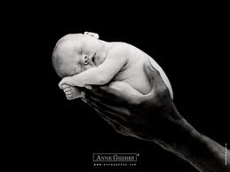 Photo de Anne Geddes