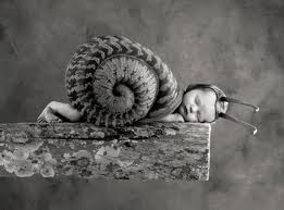 Photo de Anne Geddes