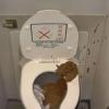Insolite