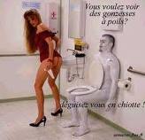 photo insolite 2011 humour drole