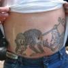 Insolite