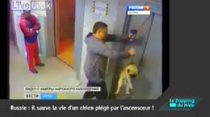 homme-a-sauve-la-vie-d-un-chien.png