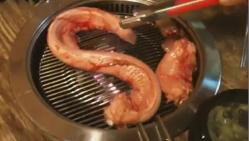 korean-plat-eels-vivant-anguille-bbq-insolite-affreux.jpg